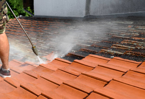 Best House Pressure Washing  in Meadow Woods, FL