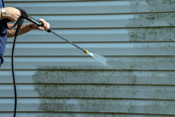 Best Commercial Building Pressure Washing  in Meadow Woods, FL