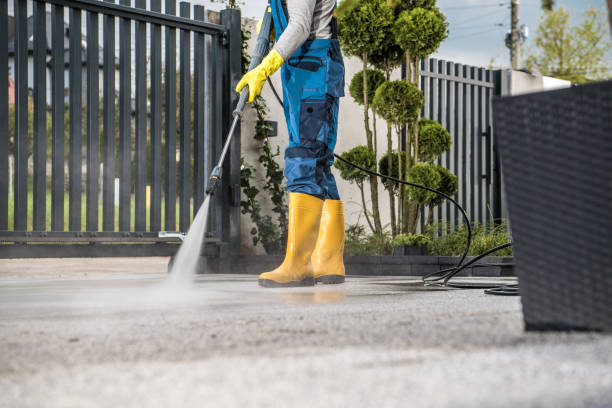 Best Sidewalk Pressure Washing  in Meadow Woods, FL