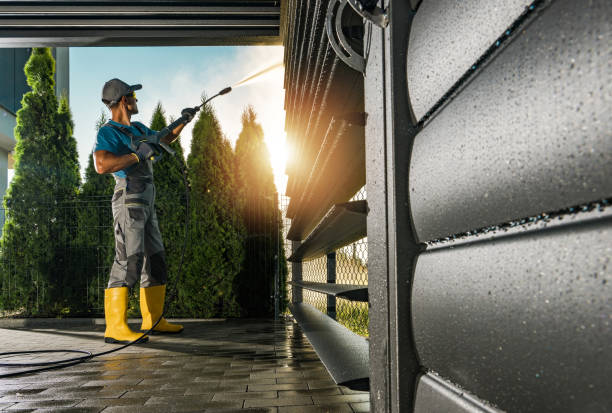 Best Pressure Washing Services Near Me  in Meadow Woods, FL
