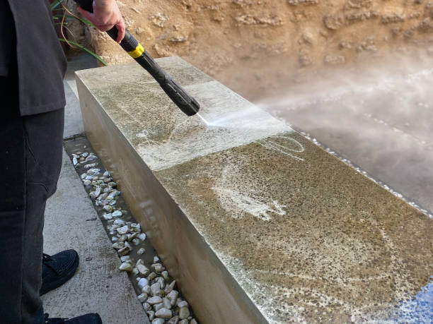 Best House Pressure Washing  in Meadow Woods, FL