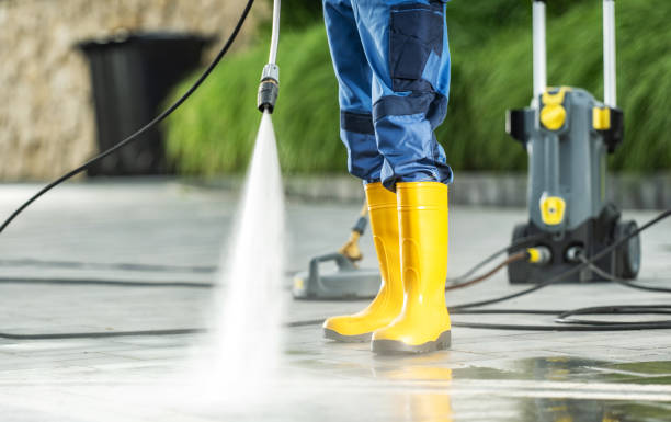 Best Roof Power Washing Services  in Meadow Woods, FL