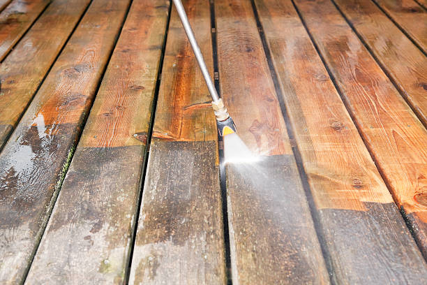 Best Best Pressure Washing Companies  in Meadow Woods, FL