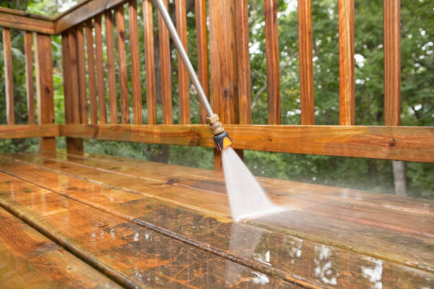 Best Fence Pressure Washing  in Meadow Woods, FL
