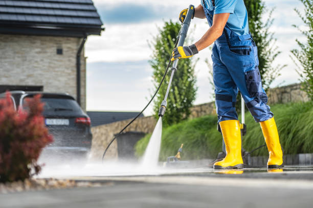Best House Pressure Washing  in Meadow Woods, FL