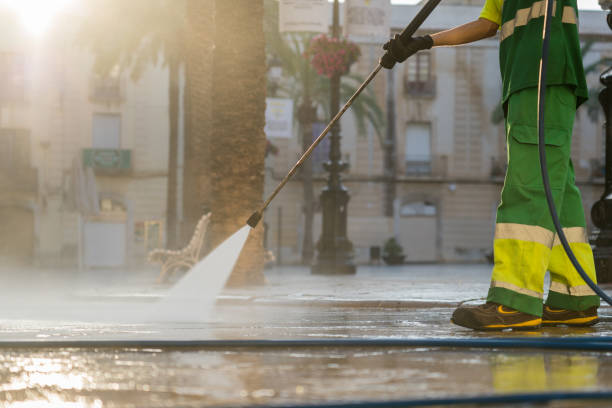 Best Sidewalk Pressure Washing  in Meadow Woods, FL
