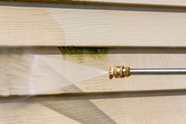Best Fence Pressure Washing  in Meadow Woods, FL