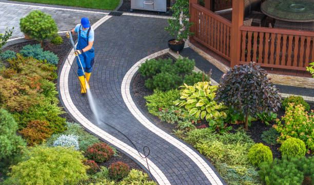 Best Pressure Washing Driveway  in Meadow Woods, FL