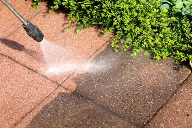 Best Roof Power Washing Services  in Meadow Woods, FL