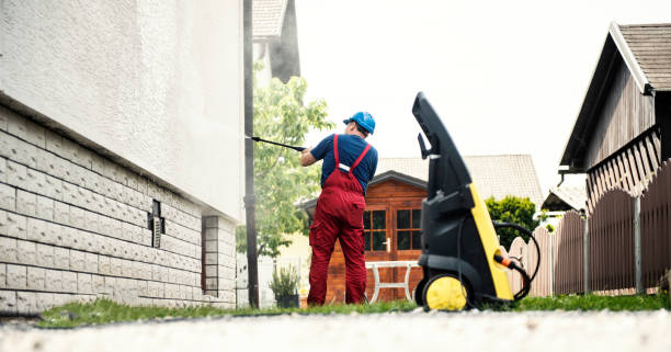 Best Pressure Washing Near Me  in Meadow Woods, FL